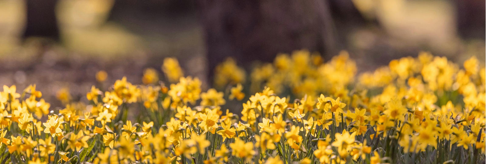 17th Mar 2026- Eastleigh Chill & Chat